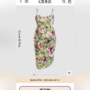 Never worn NWT Cider Plus Size dress